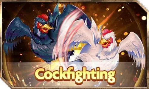 Cockfighting game